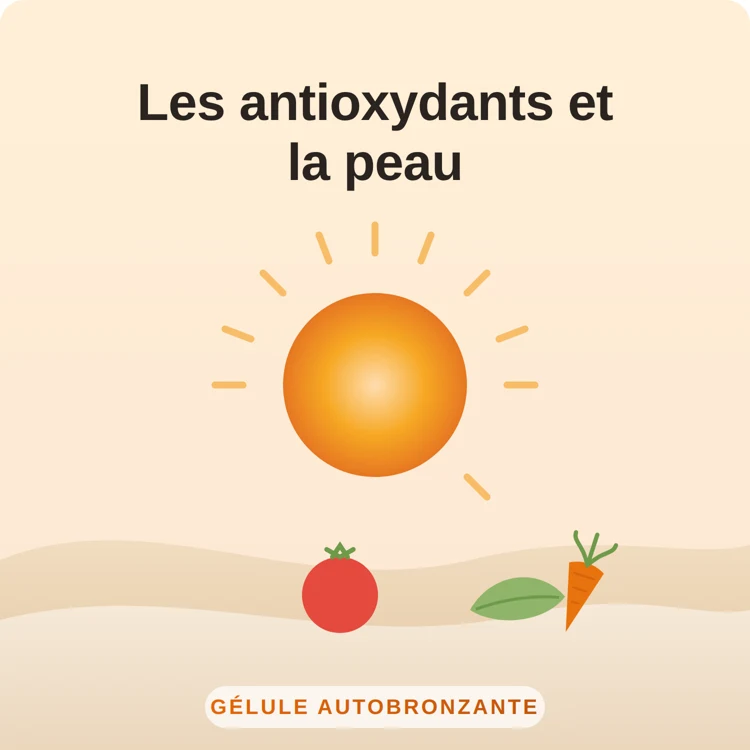 antioxydants pour la peau : illustration